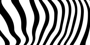 Bild 5S-Methodeneinführung